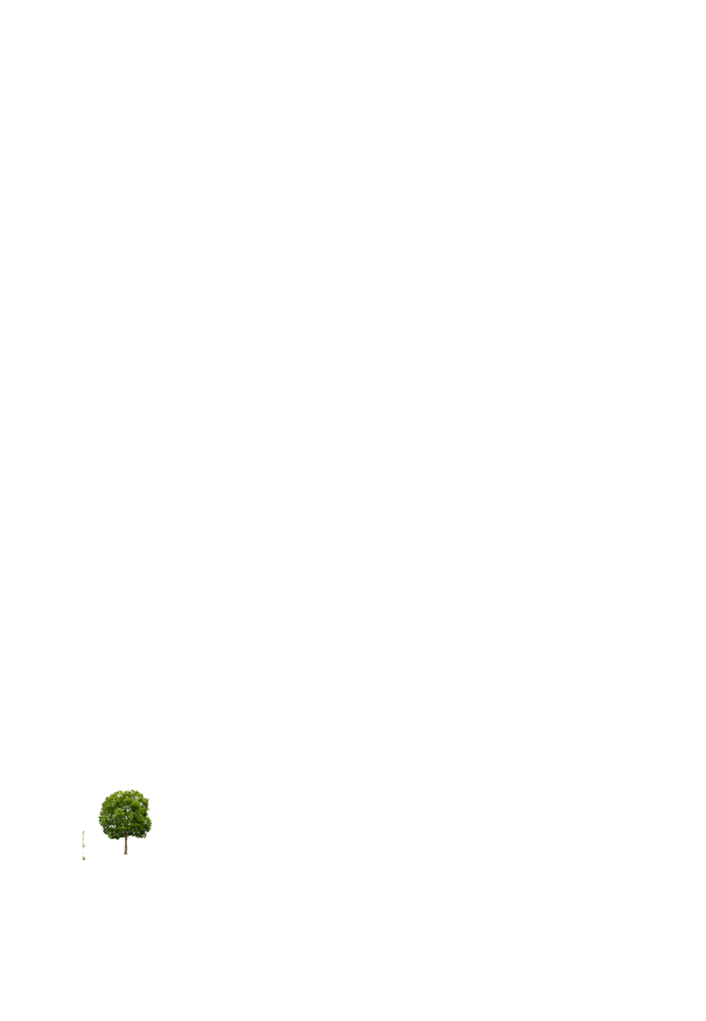 building-tree-3