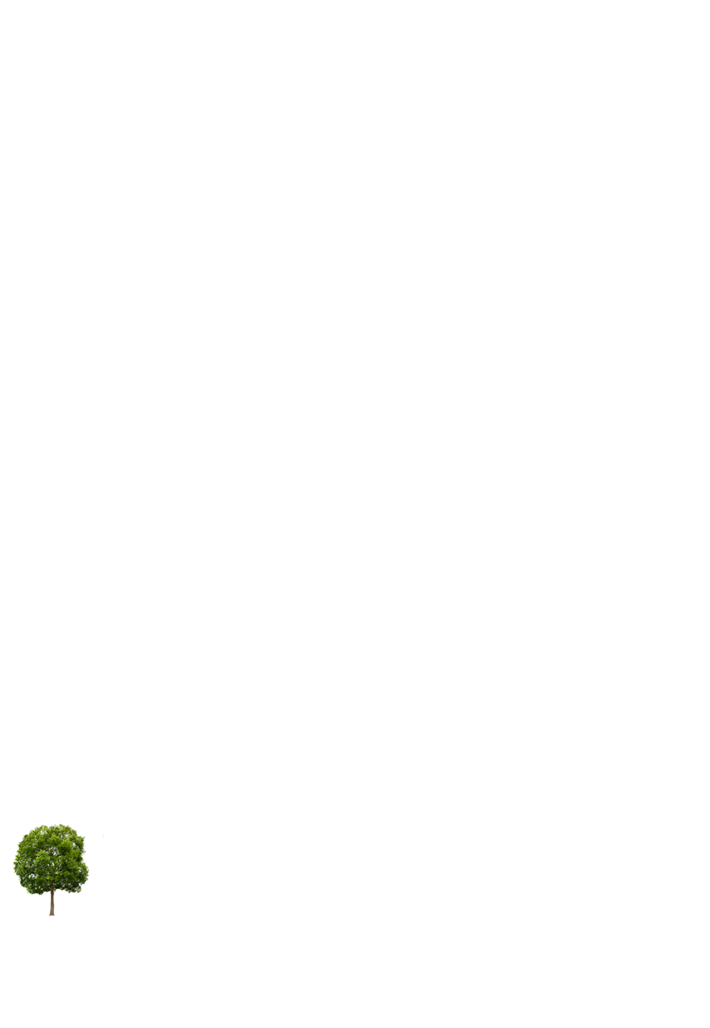 building-tree-4